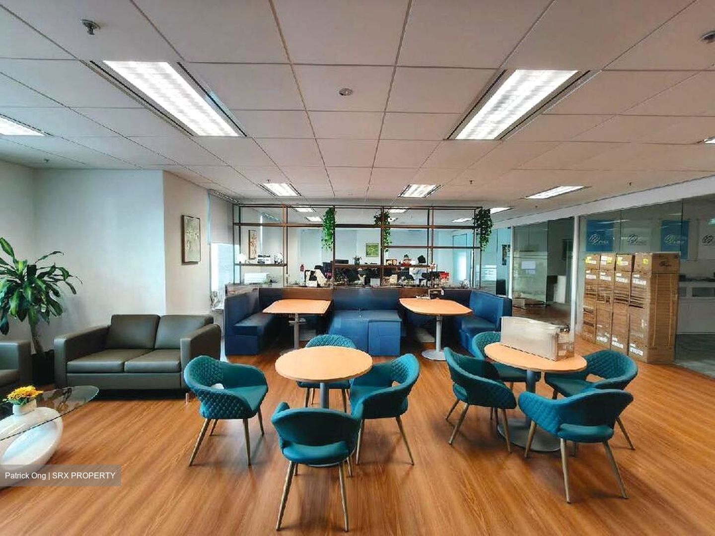 Bugis Junction (D7), Office #526295581